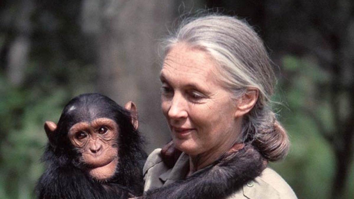 Jane Goodall: “Να δράσουμε τοπικά για να υπάρξει διαφορά σε παγκόσμιο