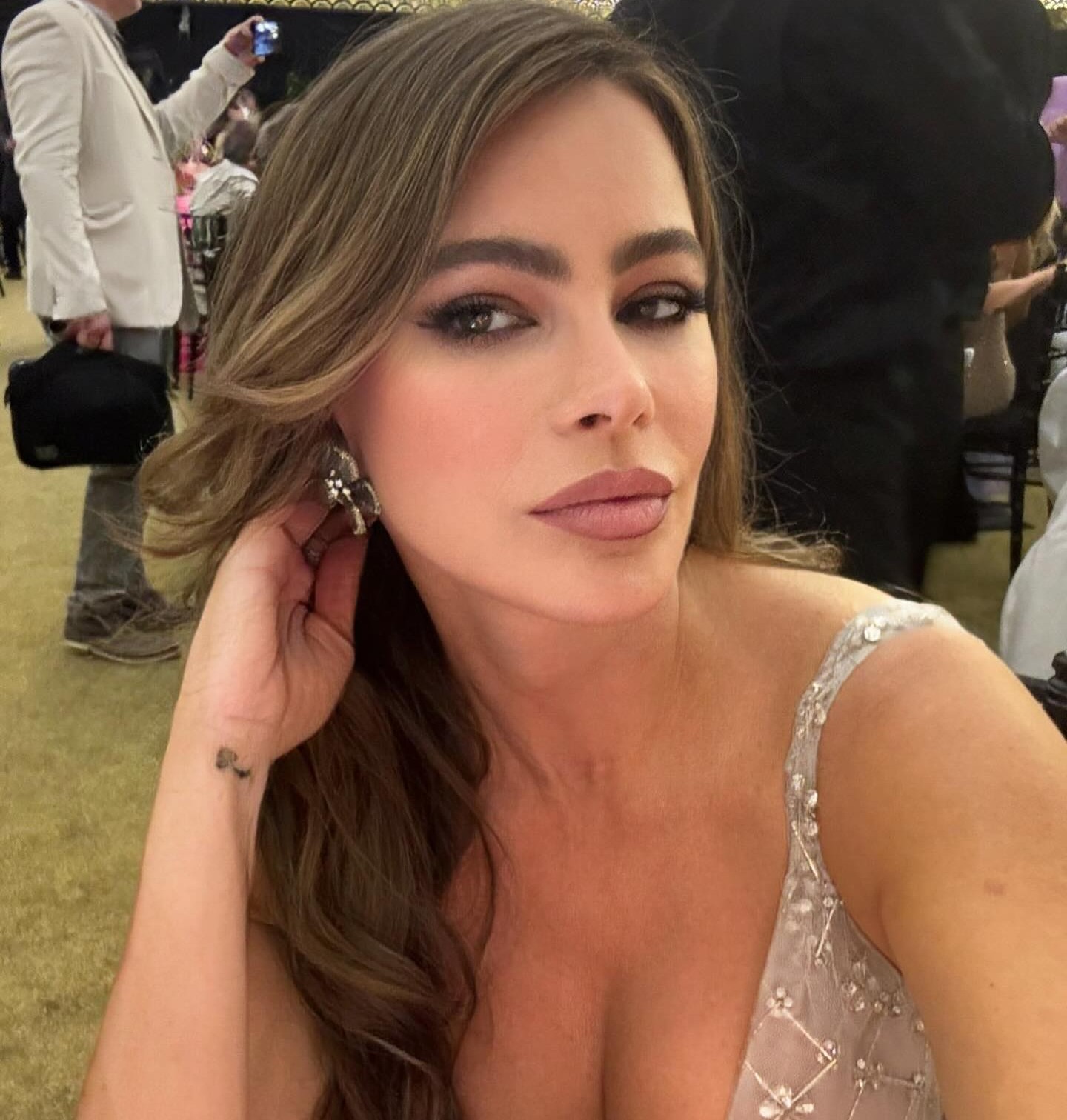 Sofia Vergara